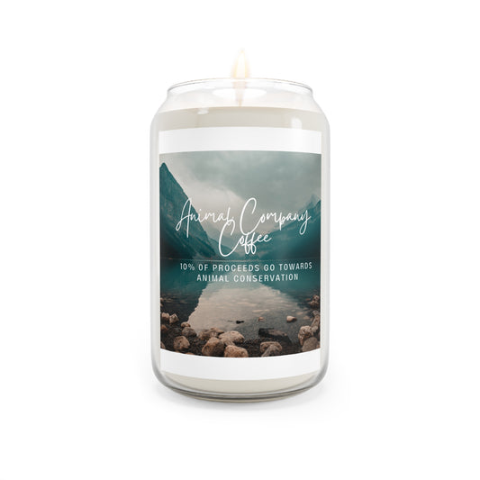 Scented Candle, 13.75oz